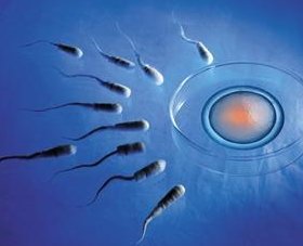 朝阳市中心医院试管婴儿成功率及费用详解